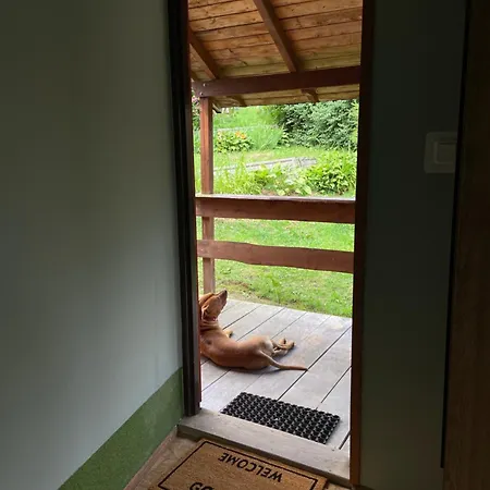 Nad Stawem Przesieka