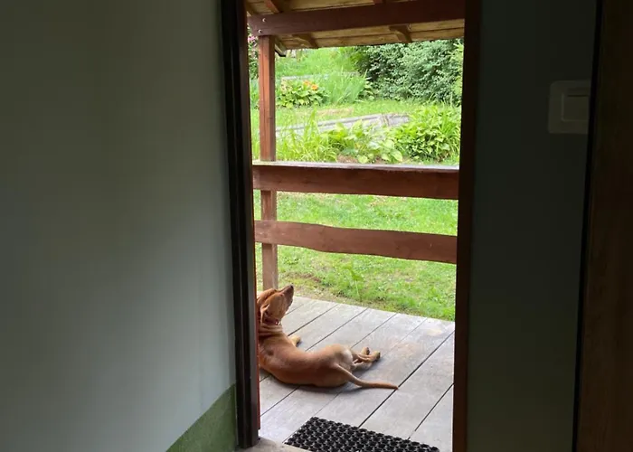 Nad Stawem 普热谢卡