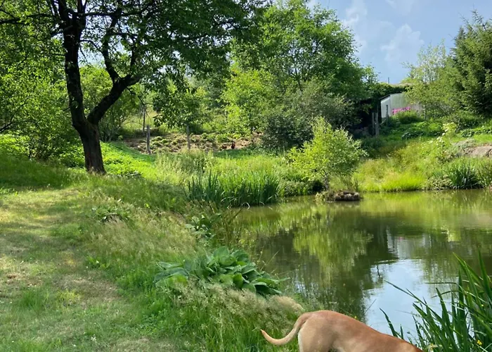 Nad Stawem * 普热谢卡